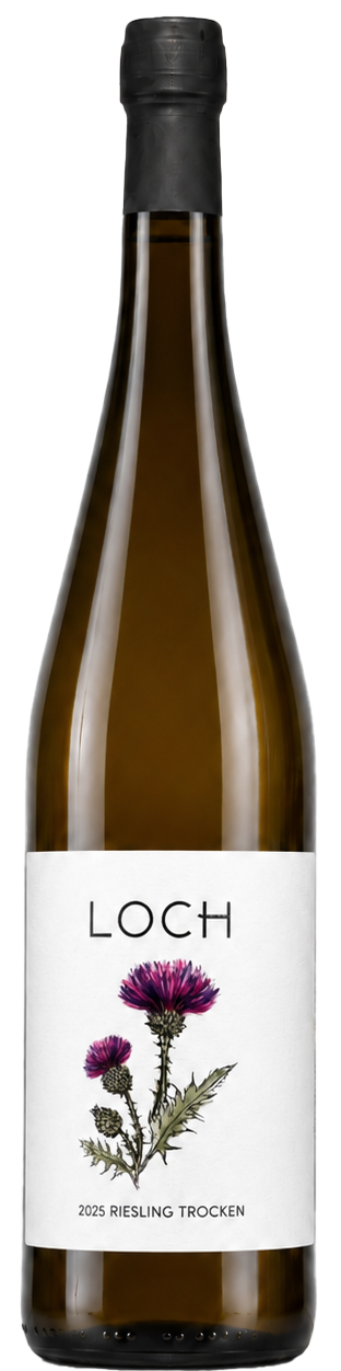 2025 Loch's Distel, Landwein der Saar, Riesling trocken