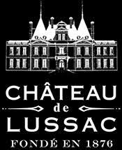 Lussac, Château de